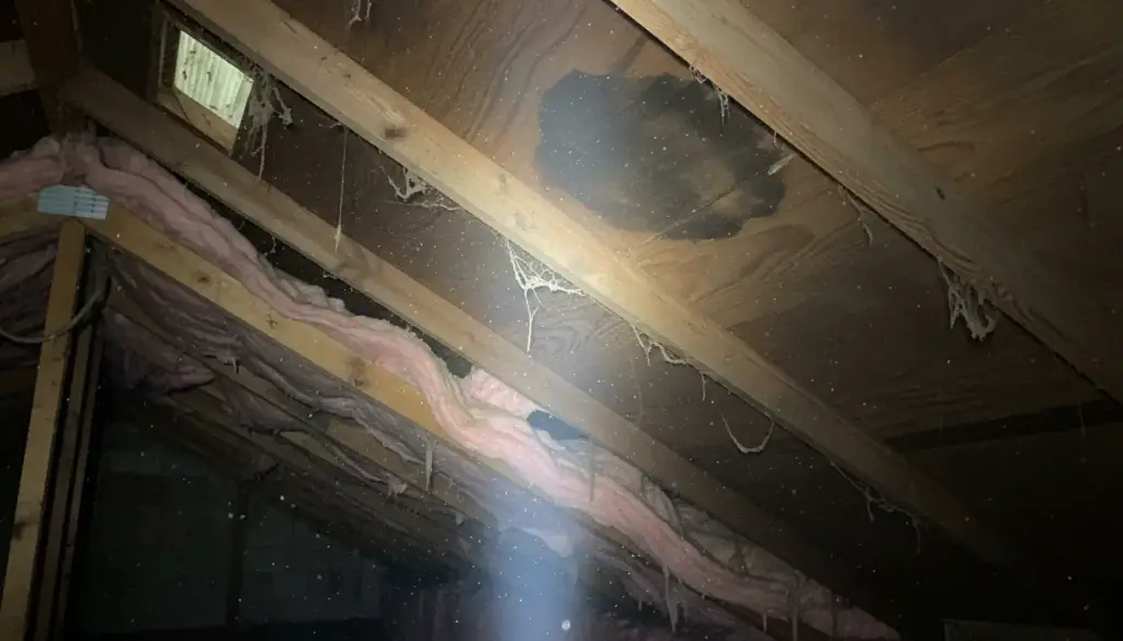 Residential Home Inspection